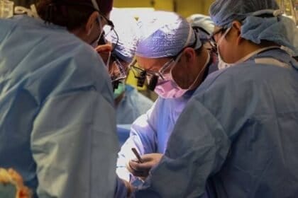 1º transplante de rim de porco para humano vivo é liderado por cirurgião brasileiro.