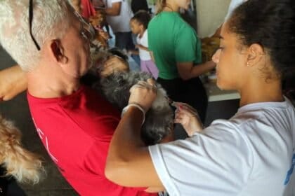 Vacina V10 gratuita para cães em Marechal Rondon; veja