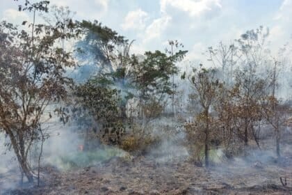Estudo aponta aumento de 152% nos incêndios em áreas de florestas maduras na Amazônia em 2023