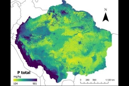 Mapas com IA comprovam baixa presença de fósforo no solo da Amazônia