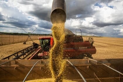 Sem impacto do RS, Conab reduz projeção para safra de grãos 2023/24
