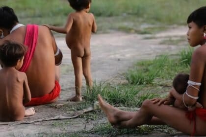 Cientistas instam medidas urgentes para combater a crise nutricional dos Yanomami