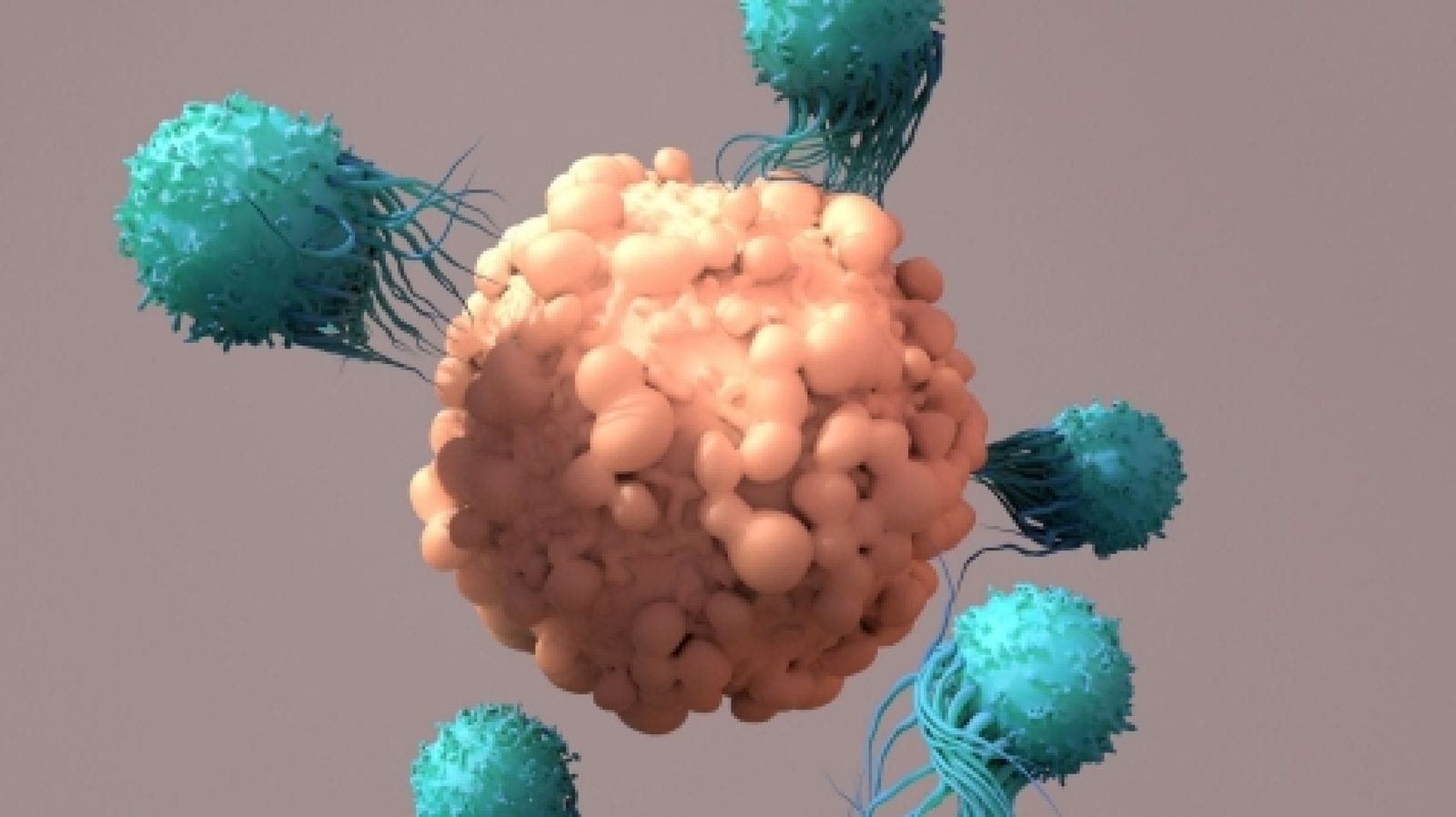 Representação de artística de células CAR-T atacando célula cancerígena