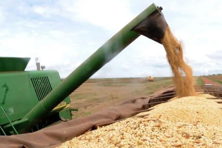 Novo Plano Safra 24/25 do Governo Federal destina R$ 400 bi para impulsionar a agricultura empresarial. Confira agora!
