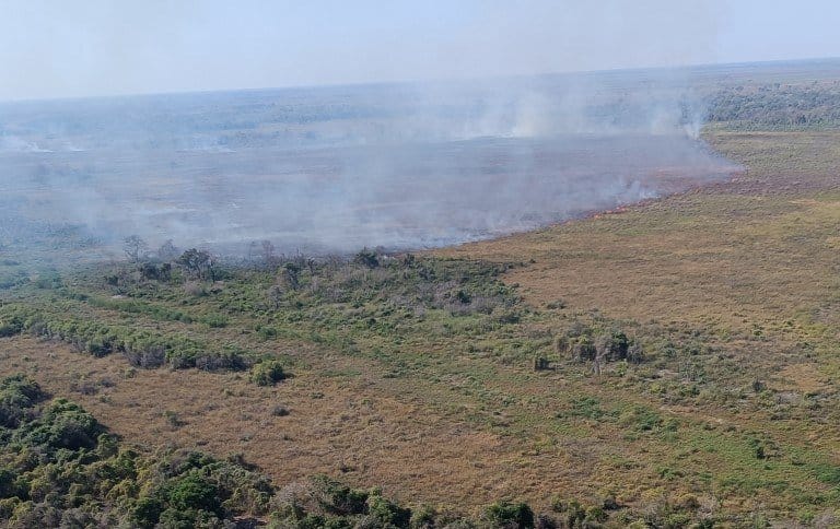 Incêndios no Pantanal: Brigadas abrem trincheiras para conter as chamas